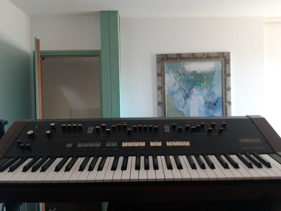 Vends synthétiseur Yamaha Sk20