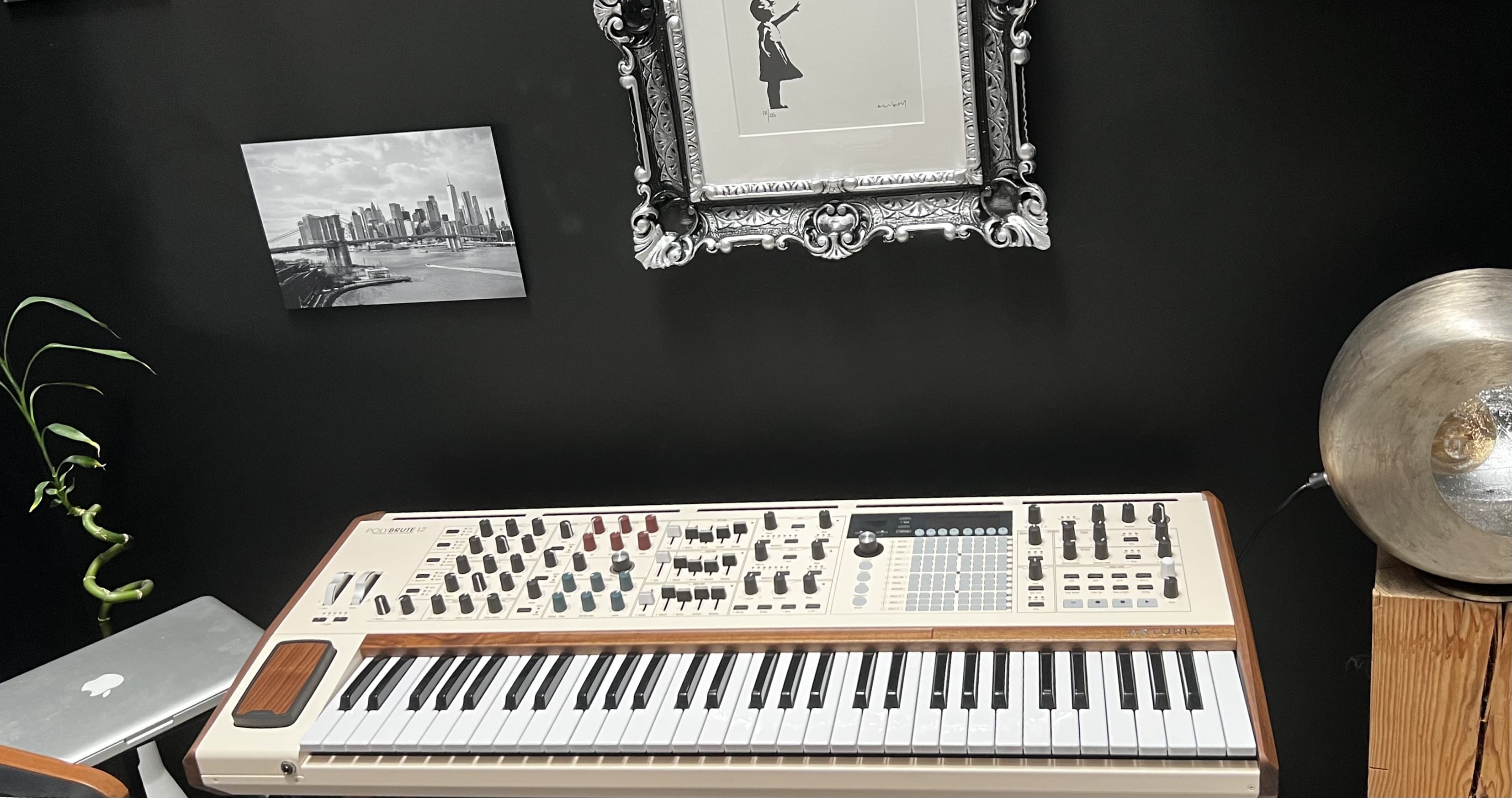 polybrute 12