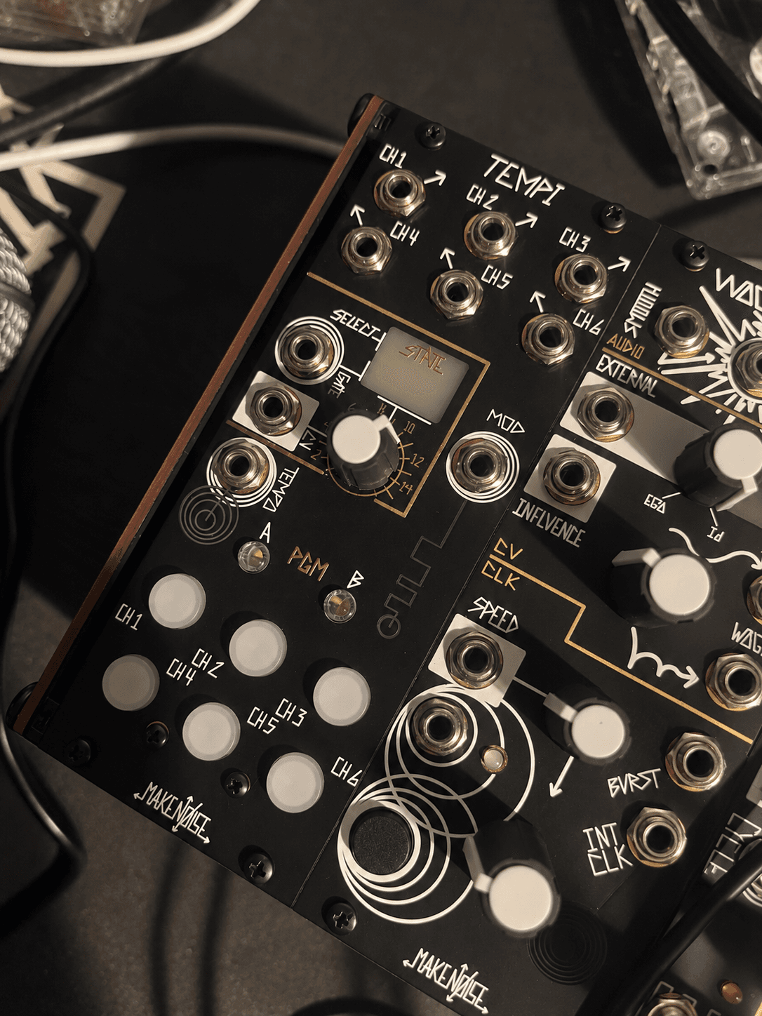 Make Noise Tempi (10HP)