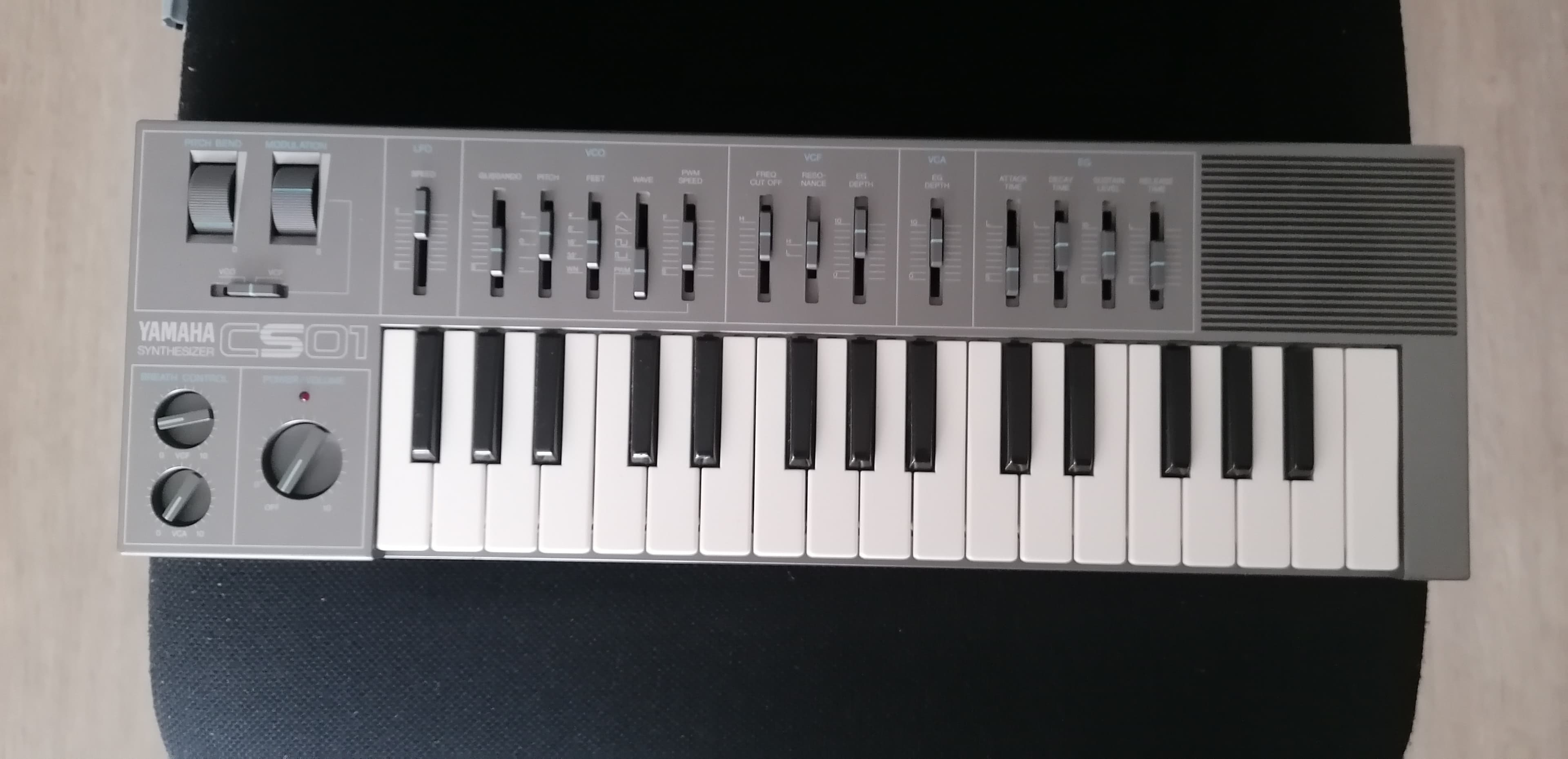 Yamaha cs01