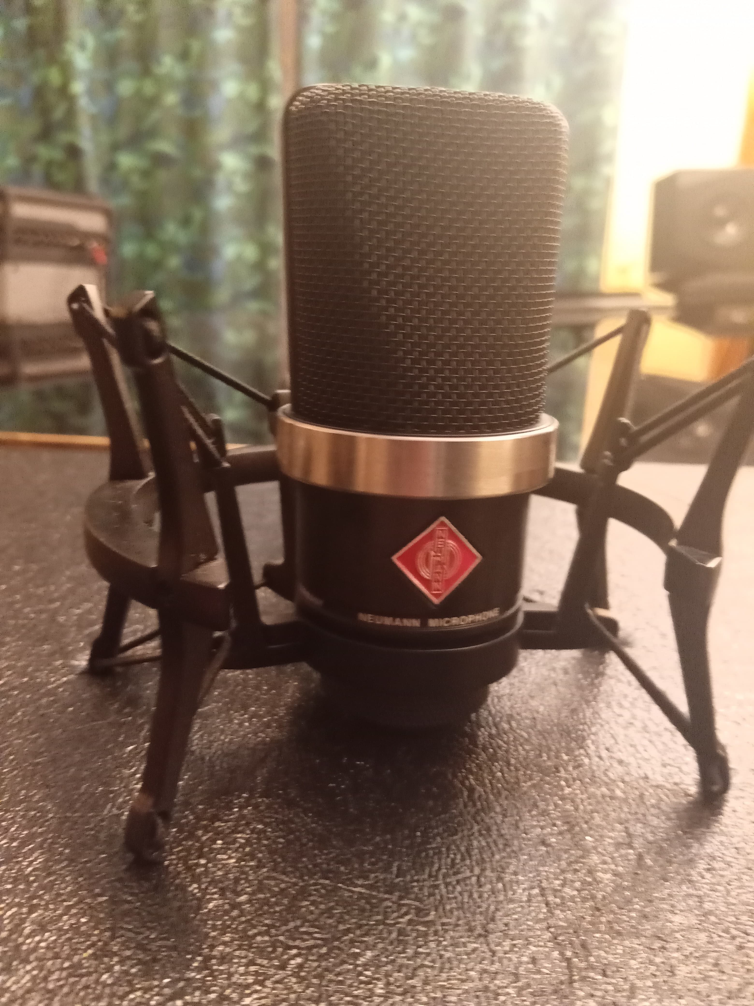 VENDS TLM 102 NEUMANN AVEC SA SUSPENSION