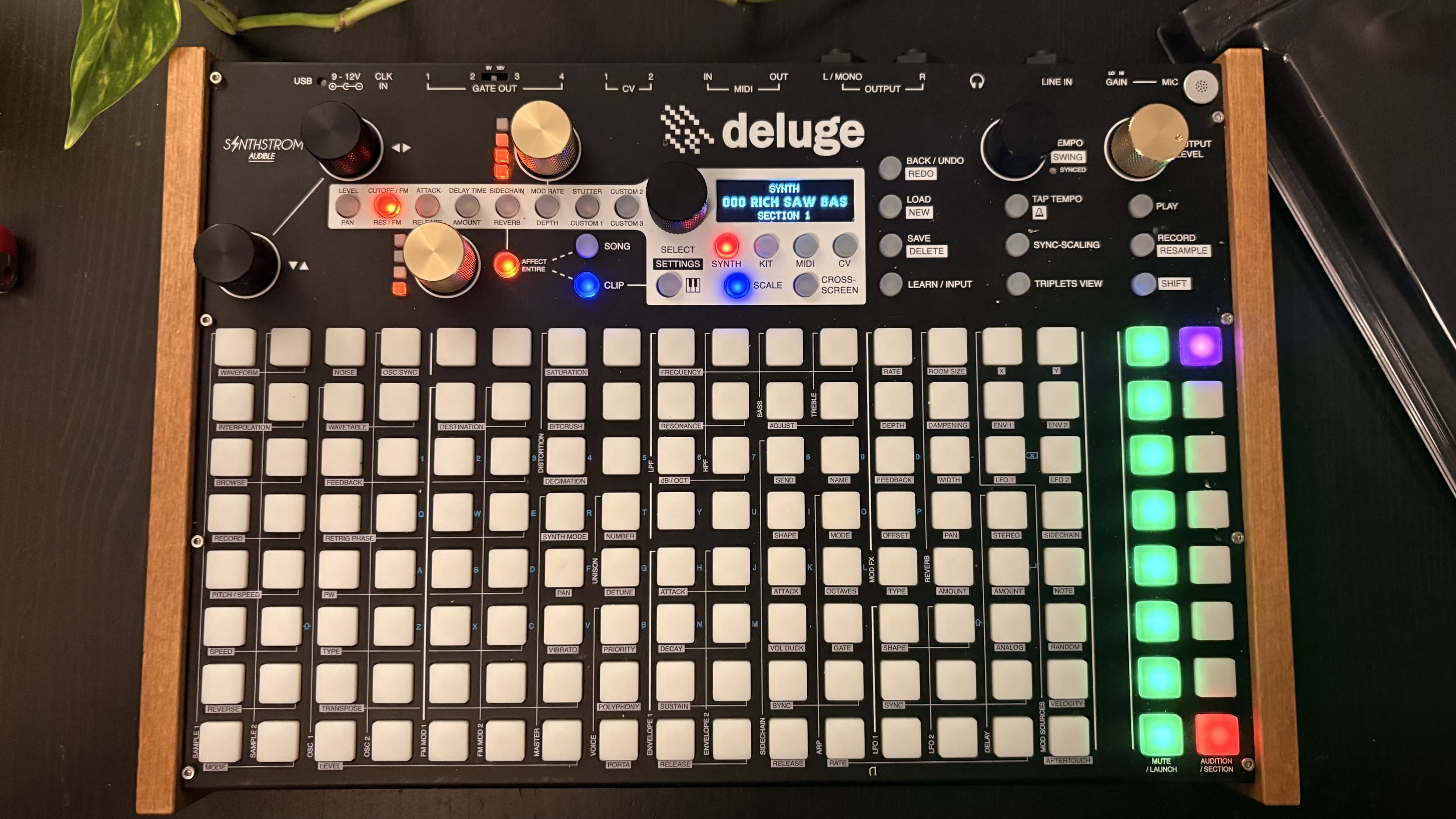 Deluge + Decksaver