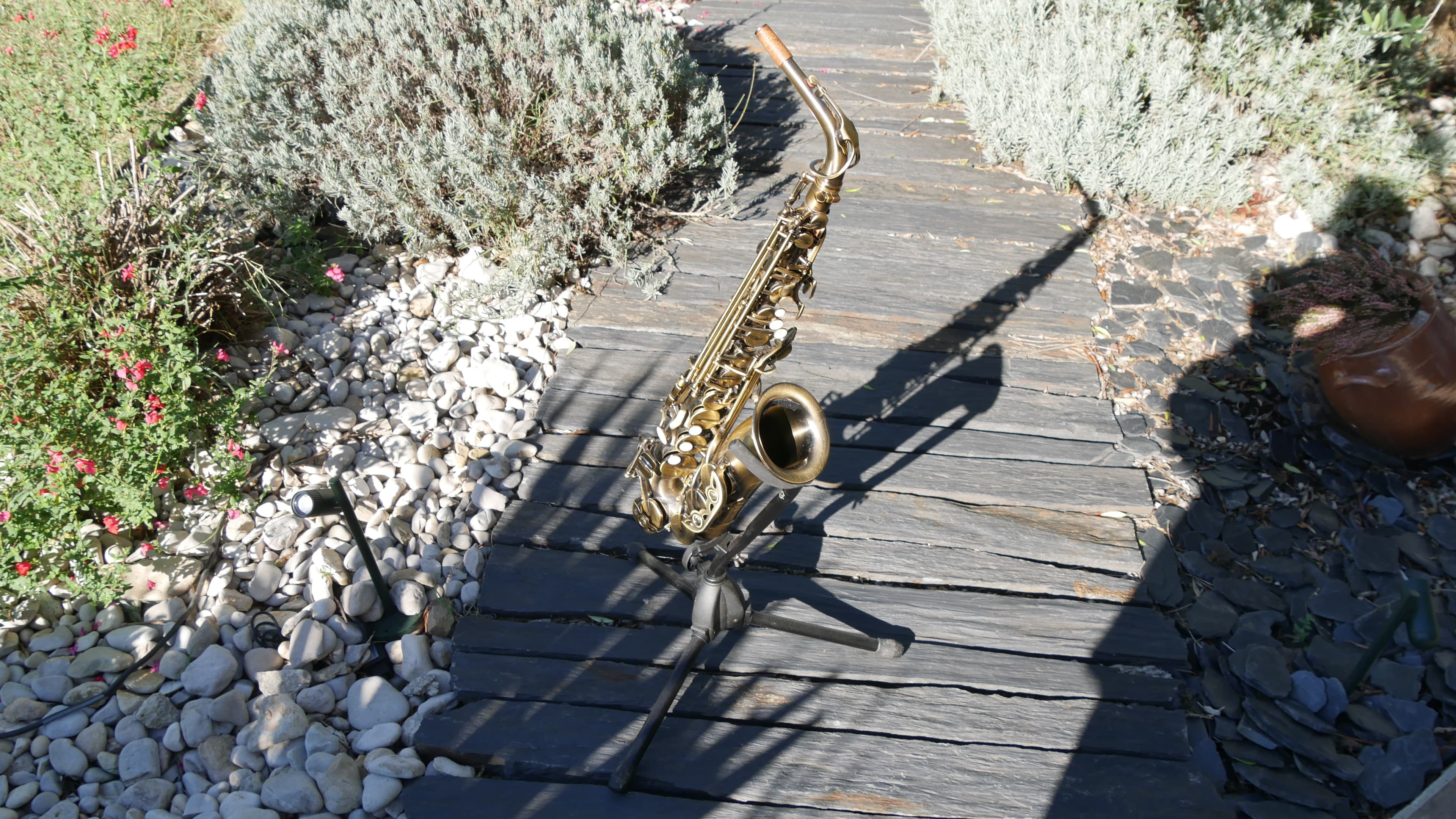 vend saxophone alto vintage