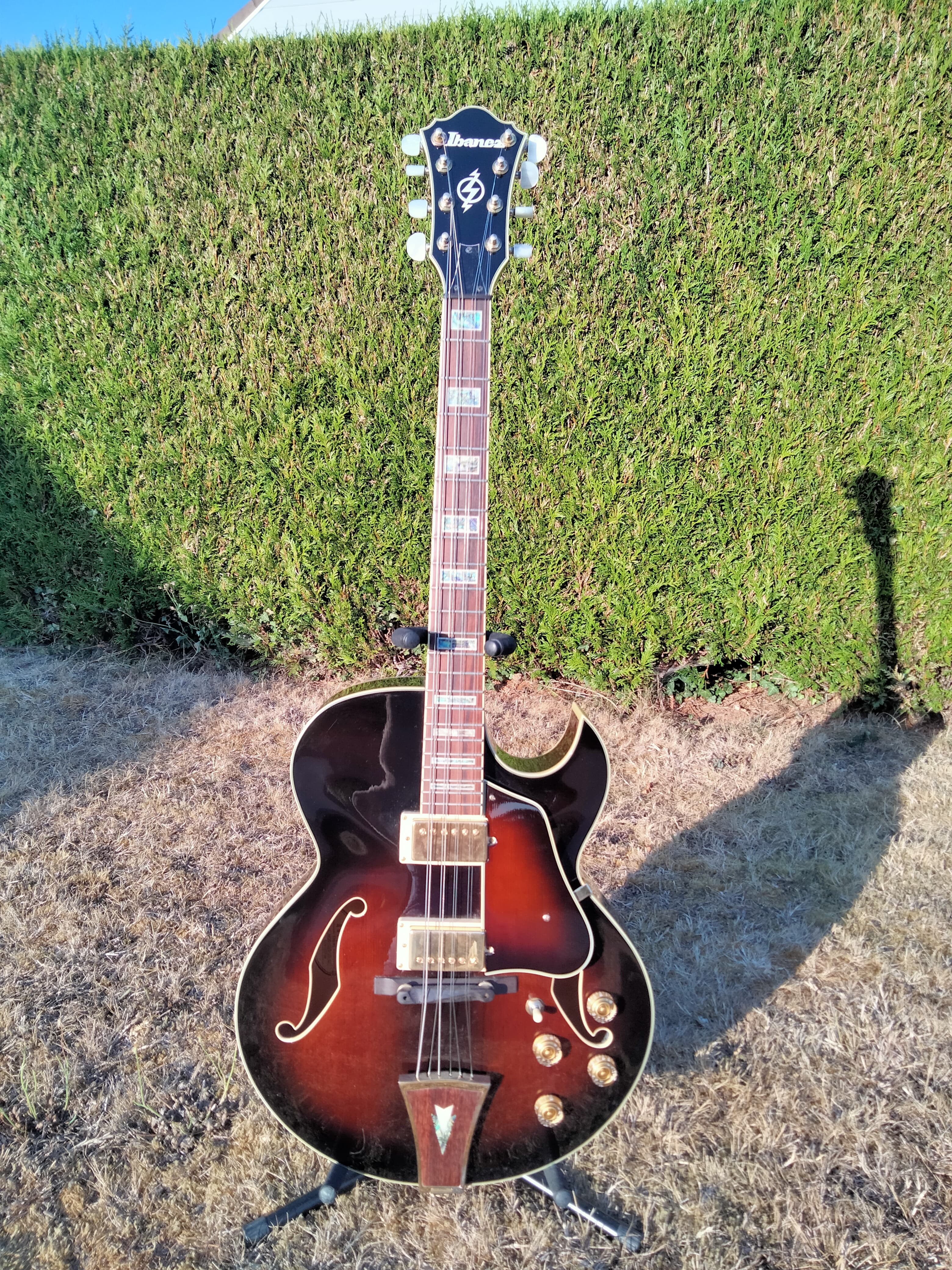 Ibanez AK95 customisée 8 cordes mandoloncelle.