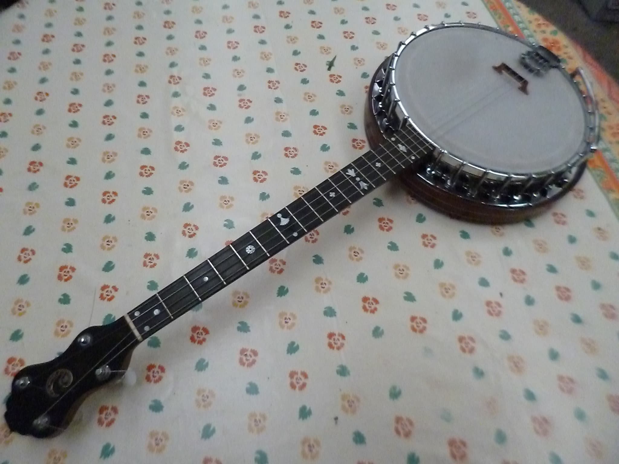 Banjo Tenor 19 fretes