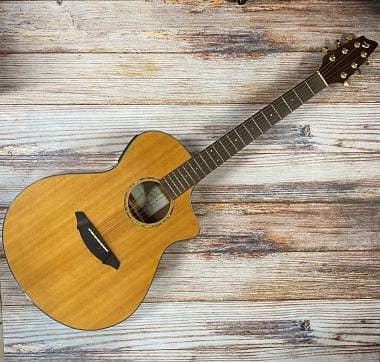 Breedlove AC25/SW CHITARRA ACUSTICA ELETTRIFICATA CON SISTEMA L.R. BAGGS