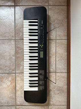 Casio CTK-245