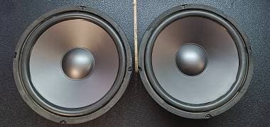woofer GMS GTW10 200 watt