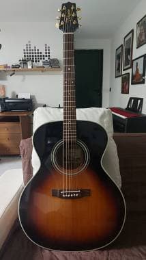 Takamine FD250SMSB