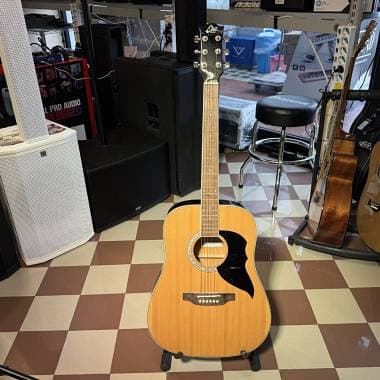 EKO GUITARS Ranger 6 Natural - Chitarra Acustica Dreadnought (USATO GARANTITO)