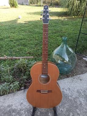 Seagull S6 coastline cedar folk qt