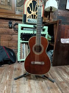 Washburn parlor r319 limited edition