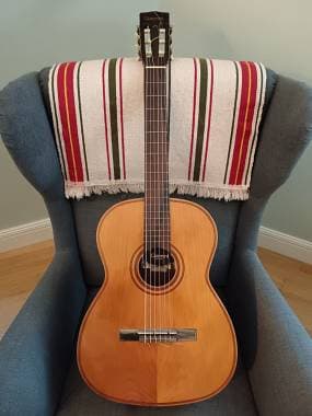 Chitarra Giannini mod. awn 30 ser. 7 1974 fabbricata in Brasile