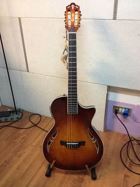 Crafter Guitars SAC-TMVS