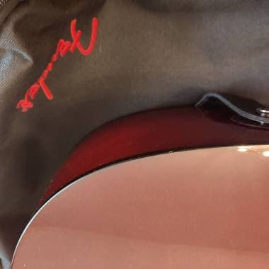 Fender FA-125CE