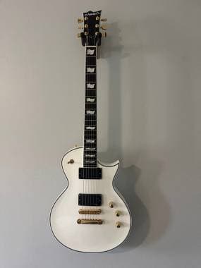 Edwards eclipse ESP