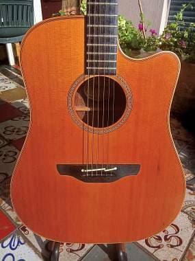 Takamine NP15-C Japan (1989) Custodia originale