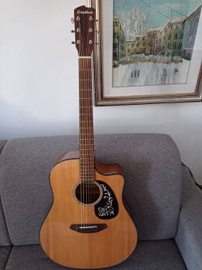 Breedlove Pursuit Dread Vendo