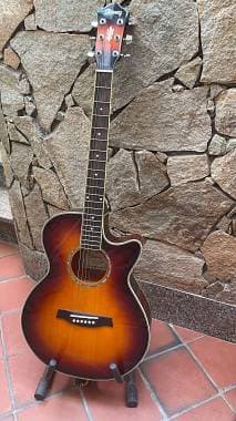 Ibanez AEG10EVS1202