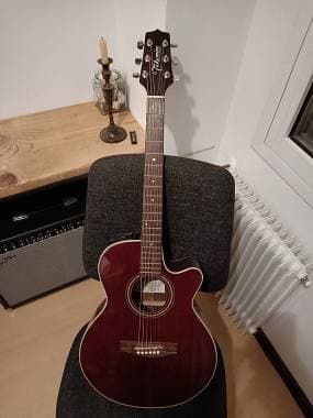 Takamine /eko