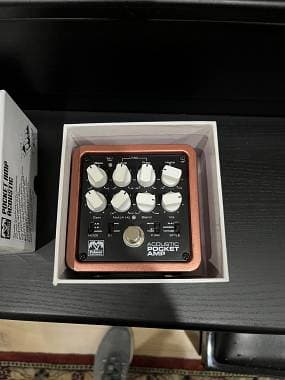Palmer Poket amp acoustic