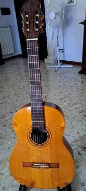 Di Giorgio Estudante 18