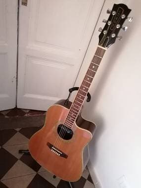 Eko Guitars Chetro