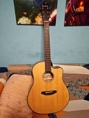 Chitarra Breedlove Pursuit Dread