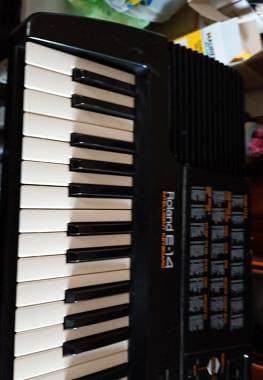 Roland E 14