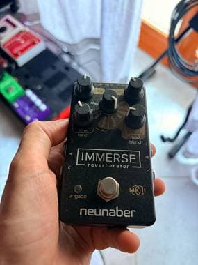 Neunaber Audio - Immerse MK II