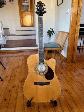 Chitarra semiacustica Samich TD-5CE