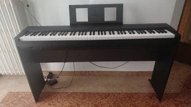 Yamaha p 45