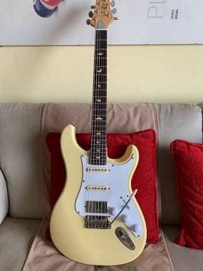 Vendo PRS Silver Sky SE customizzata