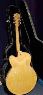 Ibanez Pat Metheny