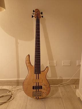 Cort A5plus 5corse