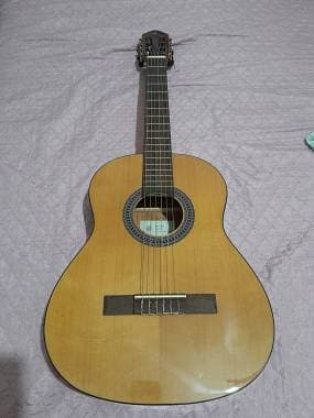 Eko Guitars Serie Vibra Modelo 75