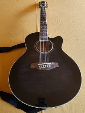 Chitarra elettroacustica Ibanez 12 corde