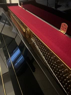 Yamaha B1 Silent