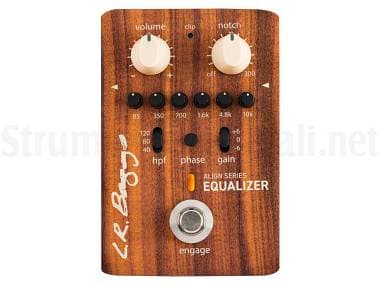 L.R. Baggs Equalizer