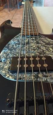 OLP 5 corde ( licenza ufficiale Ernie ball)