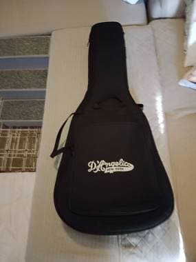 D'Angelico Guitars Custodia morbida