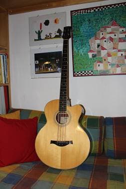 Hofner Acustico