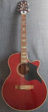 Takamine EG 260 C WR