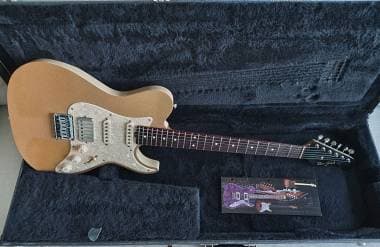 Don Grosh Hollow sparkle scambio