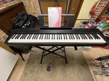 Yamaha P 45