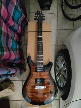 PRS Guitars PRS SE Paul's Guitar