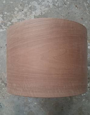 Timpano 18 noce