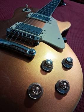 Eko Guitars LS-300 Gold