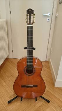 Cordoba C5