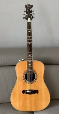 Chitarra acustica Morris tornado x60